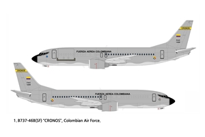 Boeing 737 Colombian Air Force