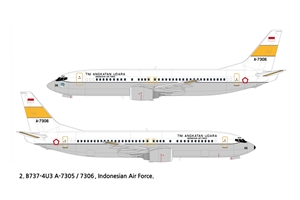 Boeing 737 Colombian Air Force