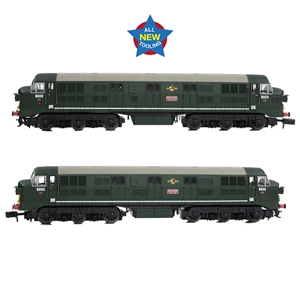 Class 41 'Warship' Headcode Box D602 'Bulldog' BR Green (SYP)