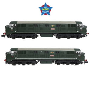 Class 41 'Warship' Disc Headcode D601 'Ark Royal' BR Green (SYP)