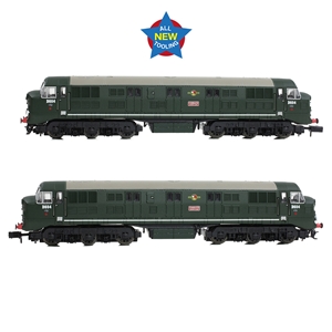 Class 41 'Warship' Disc Headcode D604 'Cossack' BR Green (L/Crest)