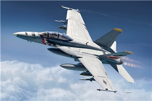 US Navy F/A-18F VFA-2 Bounty Hunters Fighter Aircraft