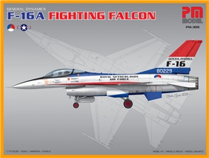 PKPM309 F-16 F Fighting Falcon Dutch & US Air Forces